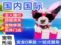 江北航空物流国际宠物托运 【国